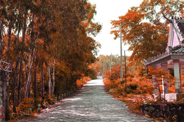 Bức tranh thủy mặc tr&ecirc;n đồi T&agrave; Pạ An Giang